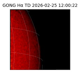 gong - 2026-02-25T12:00:22