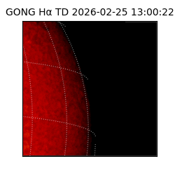 gong - 2026-02-25T13:00:22