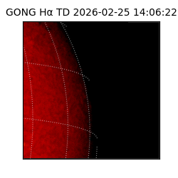 gong - 2026-02-25T14:06:22