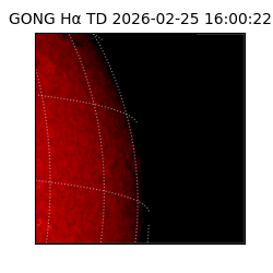 gong - 2026-02-25T16:00:22