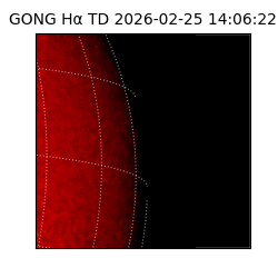 gong - 2026-02-25T14:06:22