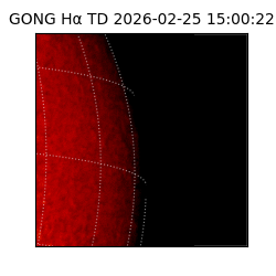 gong - 2026-02-25T15:00:22