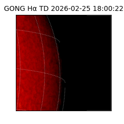 gong - 2026-02-25T18:00:22