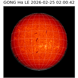 gong - 2026-02-25T02:00:42