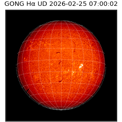 gong - 2026-02-25T07:00:02