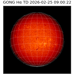 gong - 2026-02-25T09:00:22