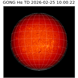 gong - 2026-02-25T10:00:22