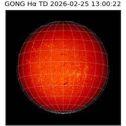gong - 2026-02-25T13:00:22