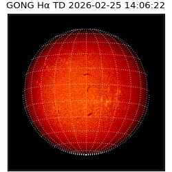 gong - 2026-02-25T14:06:22