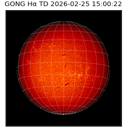 gong - 2026-02-25T15:00:22