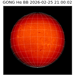 gong - 2026-02-25T21:00:02