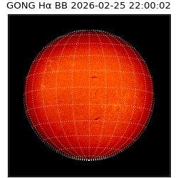 gong - 2026-02-25T22:00:02