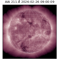 saia - 2026-02-26T09:00:09.626000