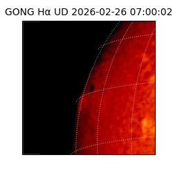 gong - 2026-02-26T07:00:02