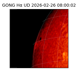 gong - 2026-02-26T08:00:02