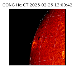 gong - 2026-02-26T13:00:42