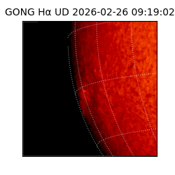 gong - 2026-02-26T09:19:02