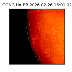 gong - 2026-02-26T16:01:02