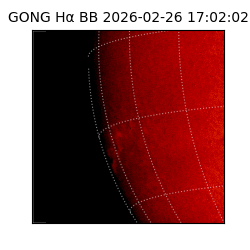 gong - 2026-02-26T17:02:02