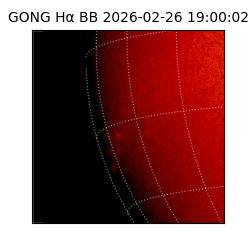gong - 2026-02-26T19:00:02