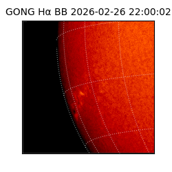 gong - 2026-02-26T22:00:02