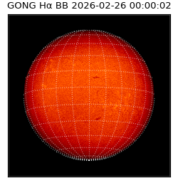 gong - 2026-02-26T00:00:02