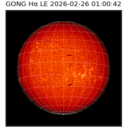 gong - 2026-02-26T01:00:42