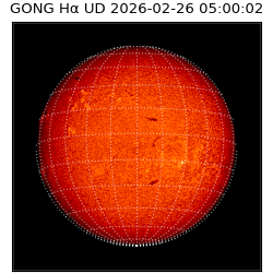 gong - 2026-02-26T05:00:02