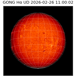 gong - 2026-02-26T11:00:02