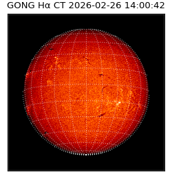 gong - 2026-02-26T14:00:42