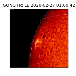 gong - 2026-02-27T01:00:42
