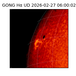 gong - 2026-02-27T06:00:02