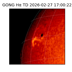 gong - 2026-02-27T17:00:22