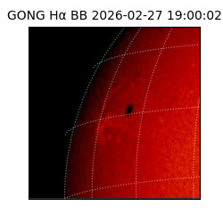 gong - 2026-02-27T19:00:02