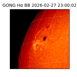 gong - 2026-02-27T23:00:02