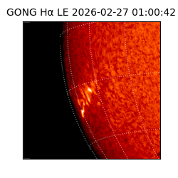 gong - 2026-02-27T01:00:42