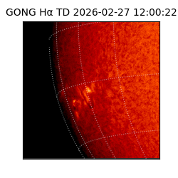 gong - 2026-02-27T12:00:22