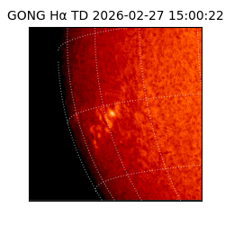 gong - 2026-02-27T15:00:22