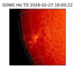 gong - 2026-02-27T16:00:22