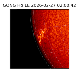 gong - 2026-02-27T02:00:42