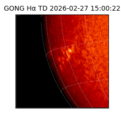 gong - 2026-02-27T15:00:22