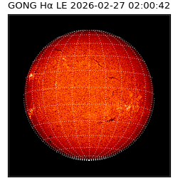 gong - 2026-02-27T02:00:42