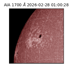 saia - 2026-02-28T01:00:28.726000