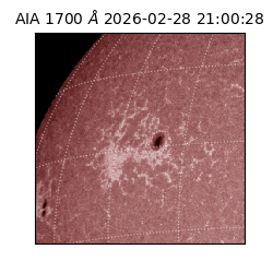 saia - 2026-02-28T21:00:28.717000