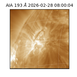 saia - 2026-02-28T08:00:04.835000