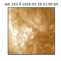 saia - 2026-02-28T01:00:04.843000