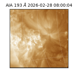 saia - 2026-02-28T08:00:04.835000