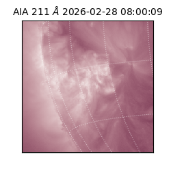 saia - 2026-02-28T08:00:09.616000