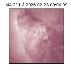 saia - 2026-02-28T09:00:09.618000