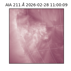 saia - 2026-02-28T11:00:09.629000